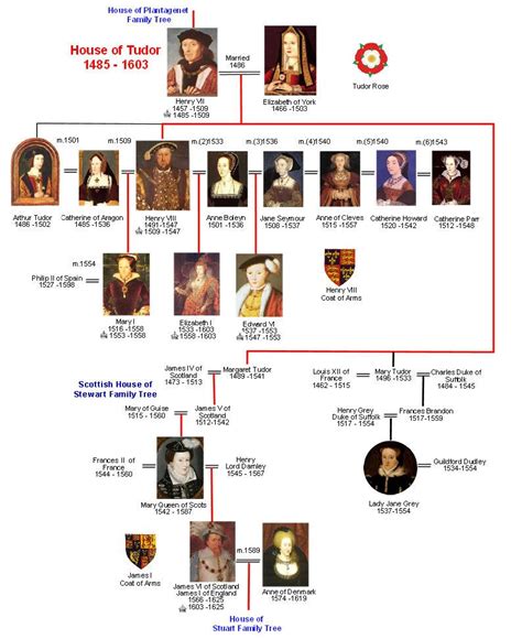 dinastia tudor enrico viii|house of tudor dynasty.